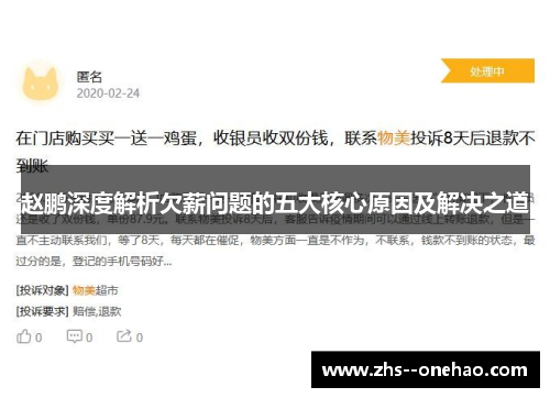 赵鹏深度解析欠薪问题的五大核心原因及解决之道